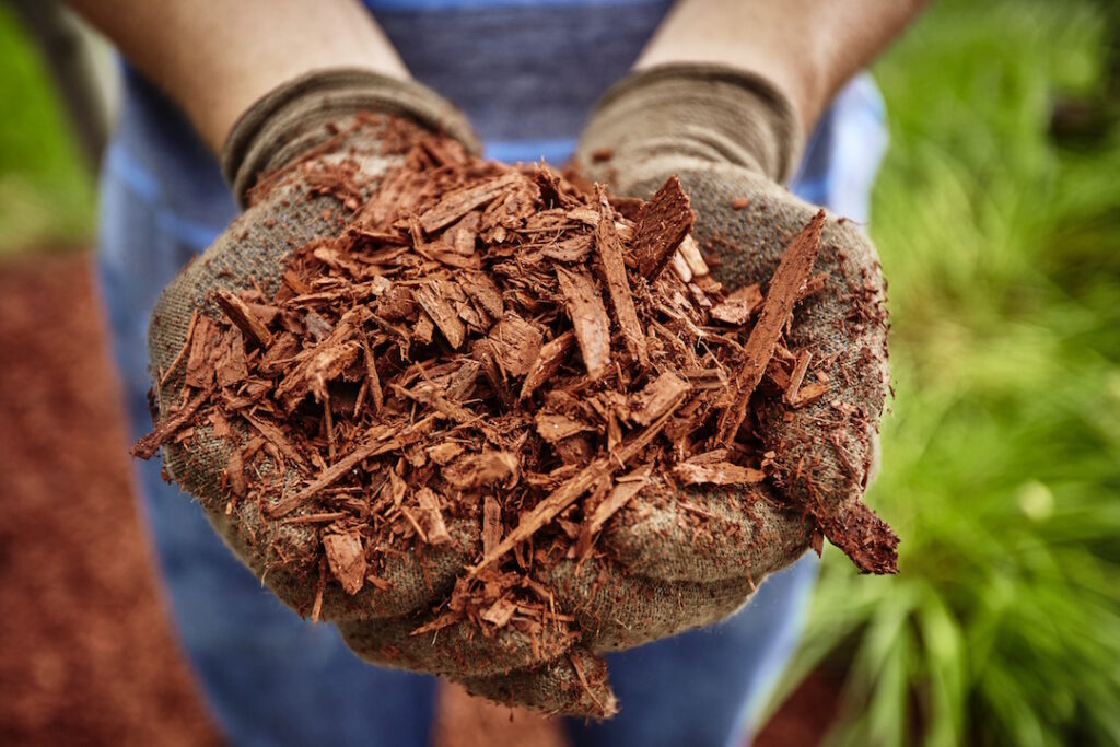 Person holding mulch.