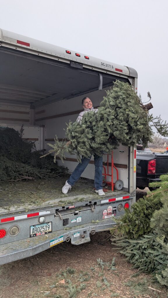 Neighbor tossing a Christmas tree out of U Haul truck into a pile of trees.